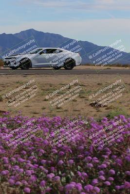 media/Jan-08-2023-SCCA SD (Sun) [[8f6a5b9391]]/Advanced Group/Session 2 (Short Straight)/